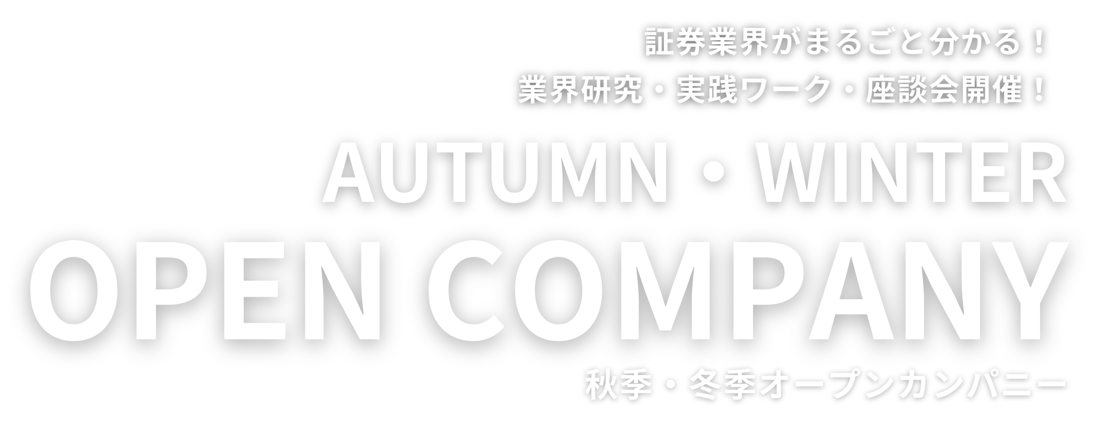 証券業界がまるごと分かる2Days！
                業界研究・ 実践ワーク ・ 座談会開催！ SUMMER INTERNSHIP 夏季インターンシップ