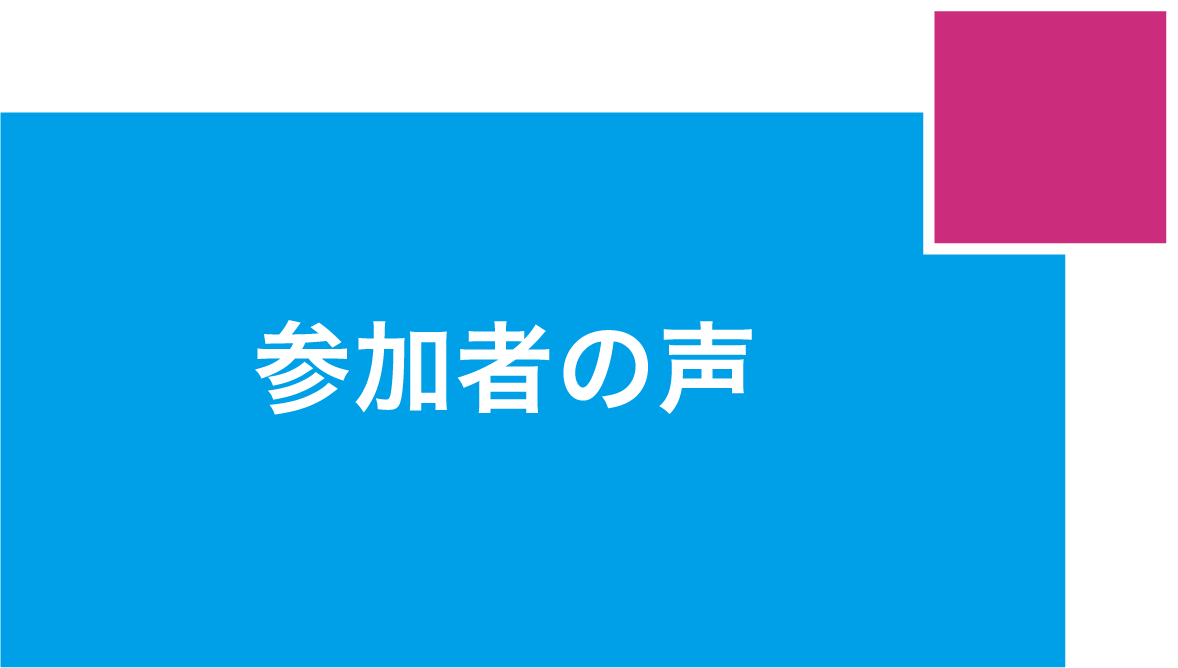 参加者の声